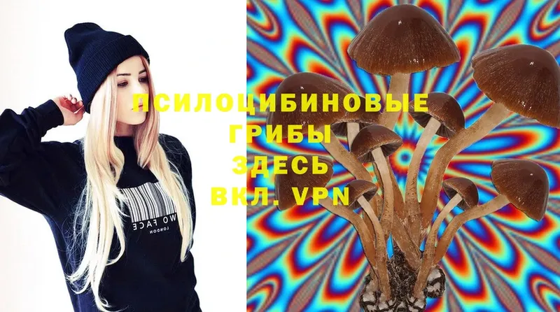 Псилоцибиновые грибы Psilocybe  kraken   Лагань 